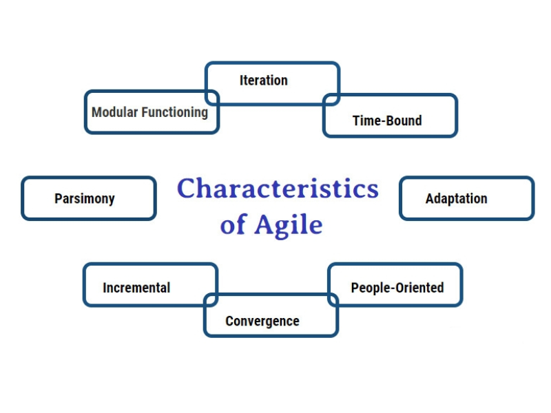 all-about-agile-processes-in-software-engineering-2