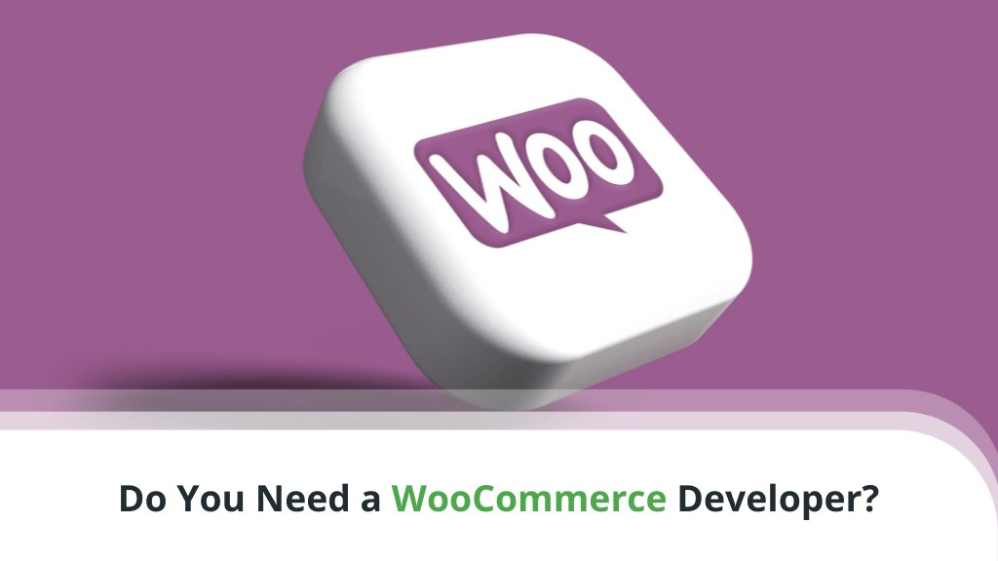 how-to-hire-within-budget-woocommerce-developer-0